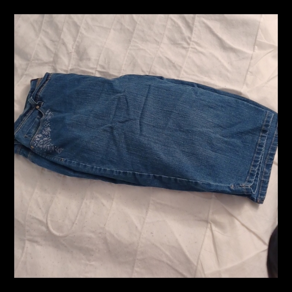 Gloria Vanderbilt Capri 16W